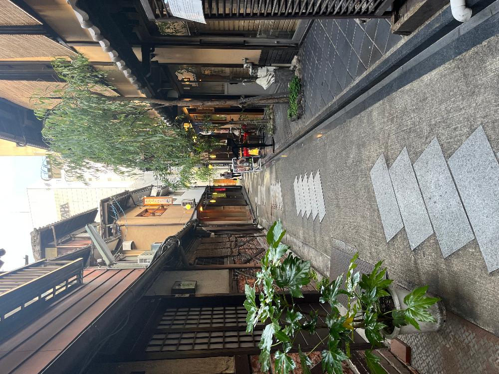 Japan Side Street
