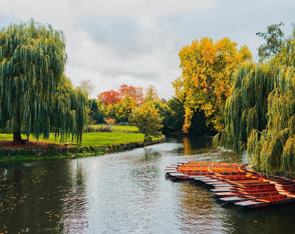 Cambridge punting